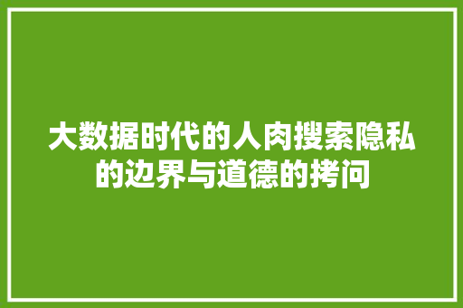 大数据时代的人肉搜索隐私的边界与道德的拷问