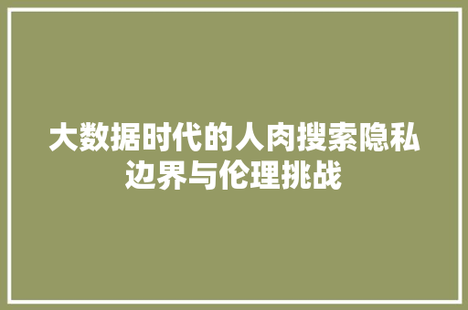 大数据时代的人肉搜索隐私边界与伦理挑战