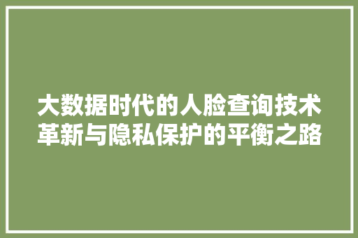 大数据时代的人脸查询技术革新与隐私保护的平衡之路