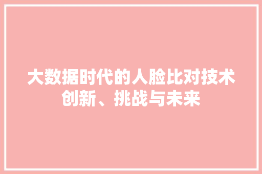 大数据时代的人脸比对技术创新、挑战与未来