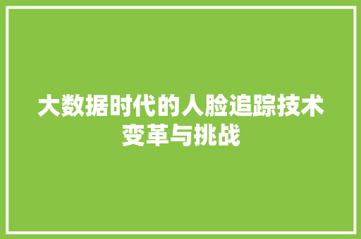 大数据时代的人脸追踪技术变革与挑战