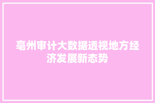 亳州审计大数据透视地方经济发展新态势