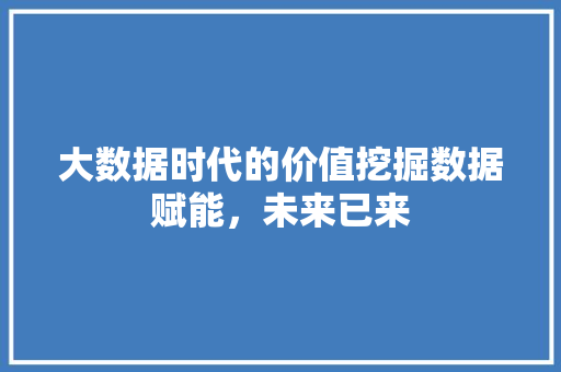 大数据时代的价值挖掘数据赋能，未来已来