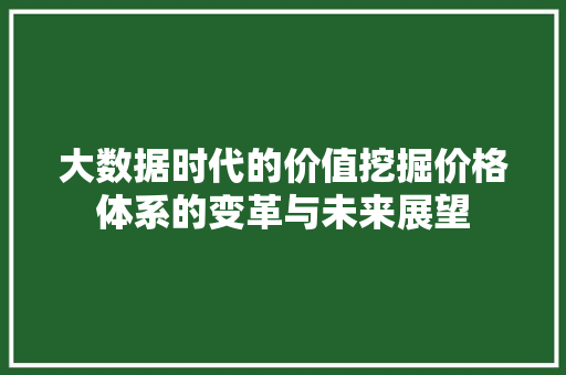 大数据时代的价值挖掘价格体系的变革与未来展望  第1张