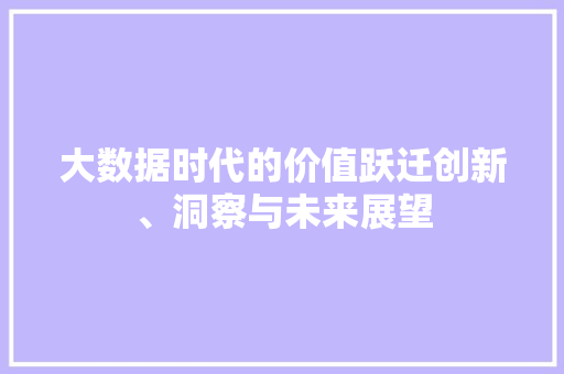 大数据时代的价值跃迁创新、洞察与未来展望