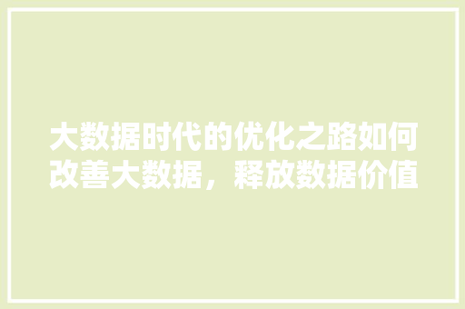 大数据时代的优化之路如何改善大数据，释放数据价值
