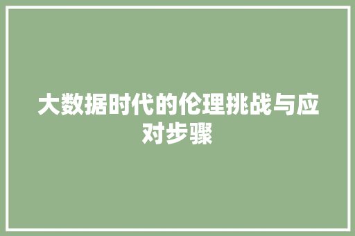 大数据时代的伦理挑战与应对步骤