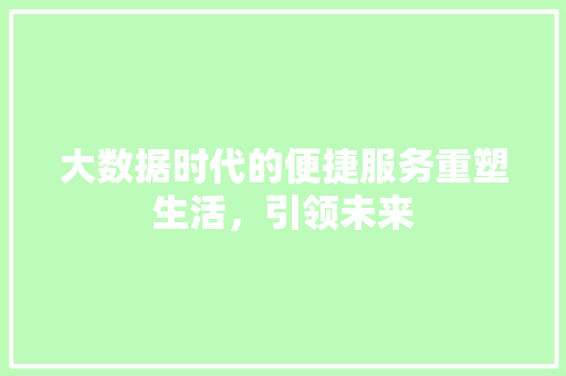 大数据时代的便捷服务重塑生活，引领未来
