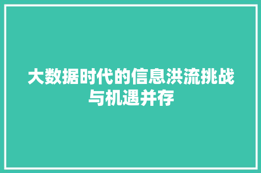 大数据时代的信息洪流挑战与机遇并存  第1张