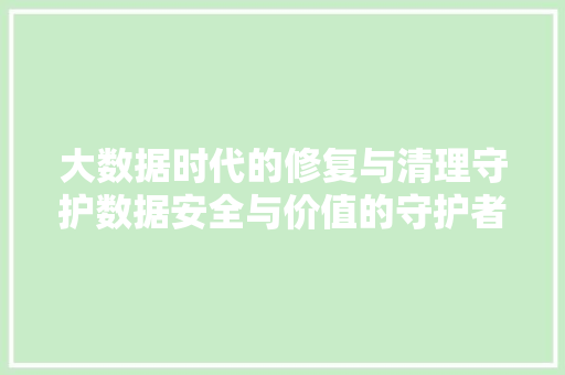 大数据时代的修复与清理守护数据安全与价值的守护者
