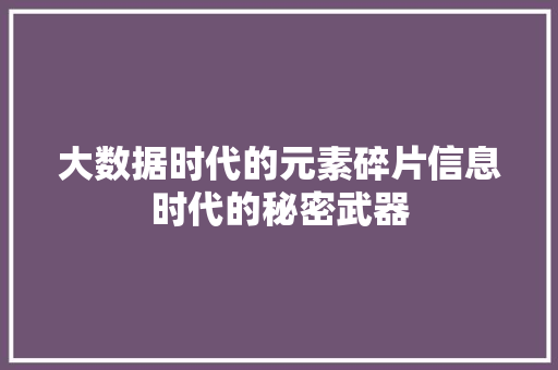 大数据时代的元素碎片信息时代的秘密武器