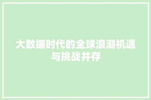 大数据时代的全球浪潮机遇与挑战并存