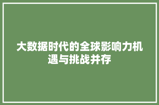 大数据时代的全球影响力机遇与挑战并存  第1张