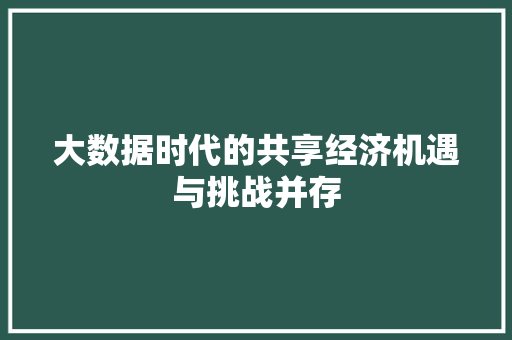 大数据时代的共享经济机遇与挑战并存