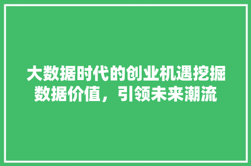 大数据时代的创业机遇挖掘数据价值，引领未来潮流  第1张