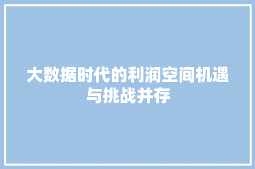 大数据时代的利润空间机遇与挑战并存  第1张