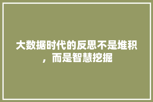 大数据时代的反思不是堆积，而是智慧挖掘  第1张