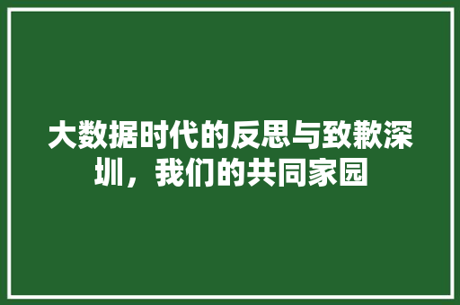 大数据时代的反思与致歉深圳，我们的共同家园  第1张
