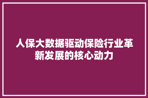 人保大数据驱动保险行业革新发展的核心动力