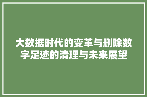 大数据时代的变革与删除数字足迹的清理与未来展望  第1张