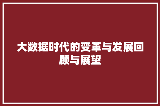 大数据时代的变革与发展回顾与展望