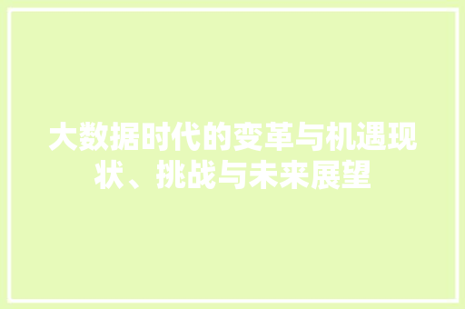 大数据时代的变革与机遇现状、挑战与未来展望  第1张