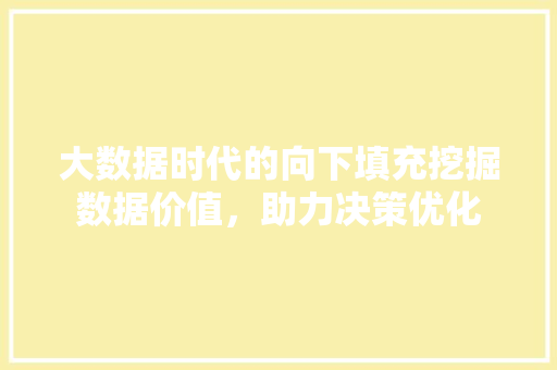 大数据时代的向下填充挖掘数据价值，助力决策优化