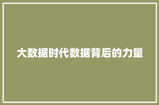 大数据时代数据背后的力量  第1张