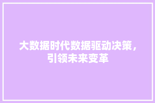 大数据时代数据驱动决策，引领未来变革  第1张