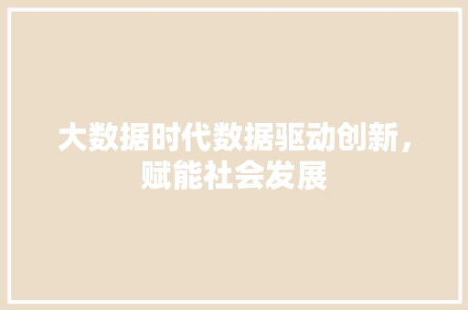 大数据时代数据驱动创新，赋能社会发展