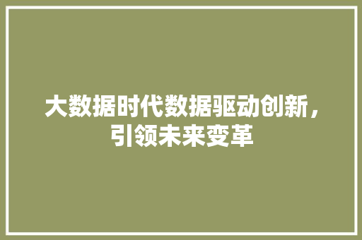 大数据时代数据驱动创新，引领未来变革  第1张