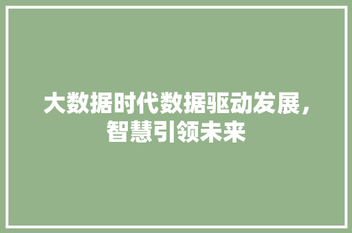大数据时代数据驱动发展，智慧引领未来  第1张