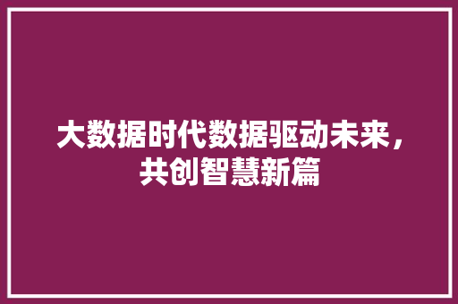 大数据时代数据驱动未来，共创智慧新篇  第1张