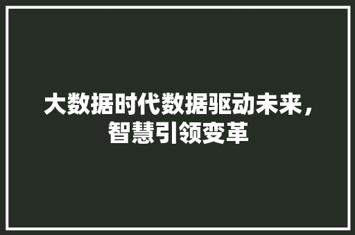 大数据时代数据驱动未来，智慧引领变革