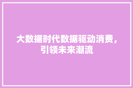 大数据时代数据驱动消费，引领未来潮流  第1张