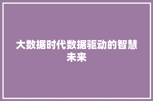 大数据时代数据驱动的智慧未来  第1张