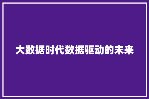 大数据时代数据驱动的未来  第1张