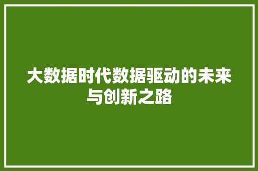 大数据时代数据驱动的未来与创新之路  第1张