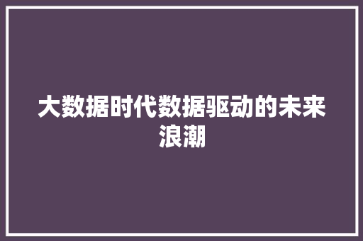 大数据时代数据驱动的未来浪潮  第1张