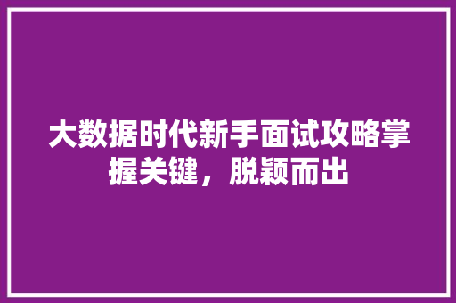 大数据时代新手面试攻略掌握关键，脱颖而出  第1张