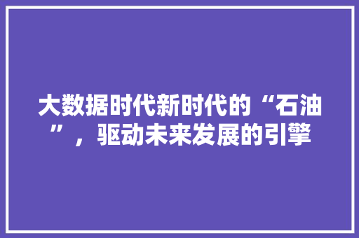 大数据时代新时代的“石油”，驱动未来发展的引擎