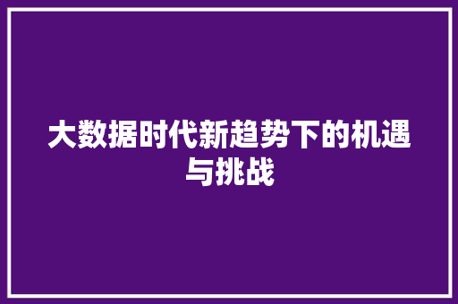 大数据时代新趋势下的机遇与挑战  第1张
