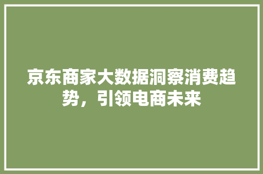 京东商家大数据洞察消费趋势，引领电商未来  第1张