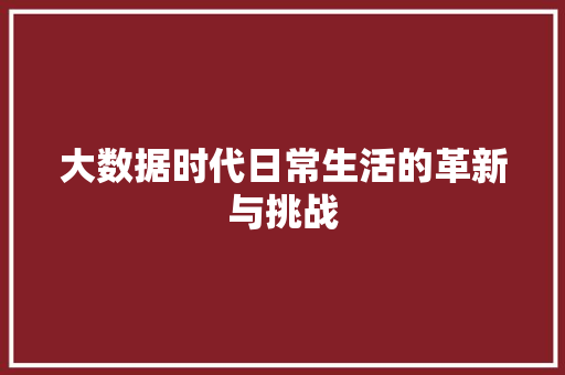 大数据时代日常生活的革新与挑战  第1张