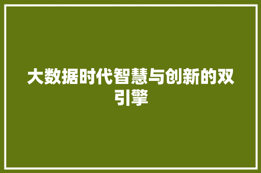 大数据时代智慧与创新的双引擎