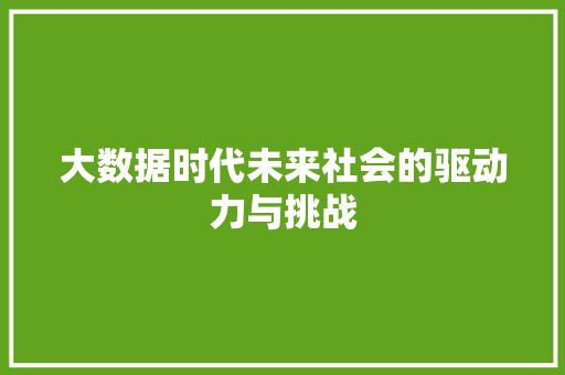 大数据时代未来社会的驱动力与挑战  第1张
