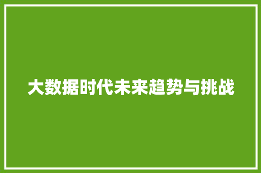 大数据时代未来趋势与挑战  第1张
