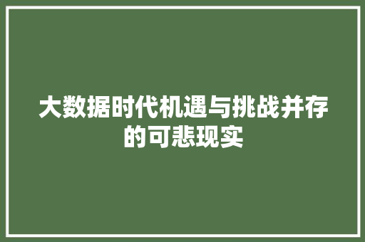 大数据时代机遇与挑战并存的可悲现实  第1张