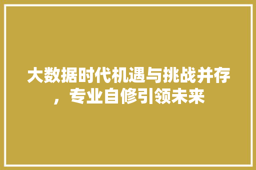 大数据时代机遇与挑战并存，专业自修引领未来  第1张
