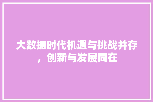 大数据时代机遇与挑战并存，创新与发展同在